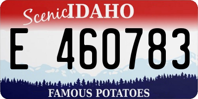 ID license plate E460783