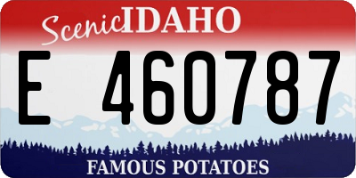 ID license plate E460787
