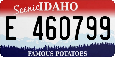 ID license plate E460799