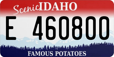ID license plate E460800