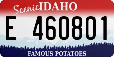 ID license plate E460801