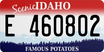 ID license plate E460802