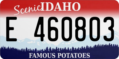 ID license plate E460803