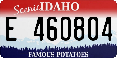 ID license plate E460804