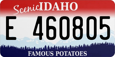 ID license plate E460805