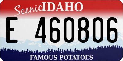 ID license plate E460806