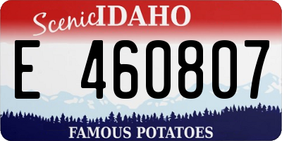 ID license plate E460807