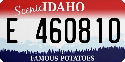 ID license plate E460810