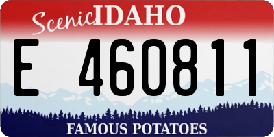 ID license plate E460811