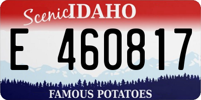 ID license plate E460817