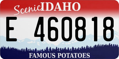 ID license plate E460818
