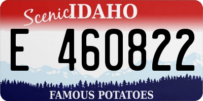 ID license plate E460822