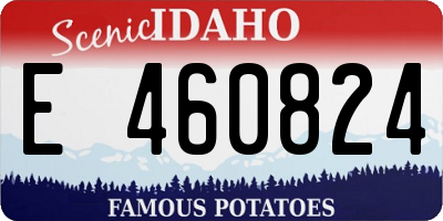 ID license plate E460824
