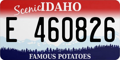 ID license plate E460826