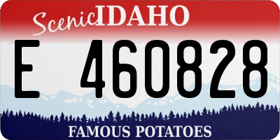 ID license plate E460828