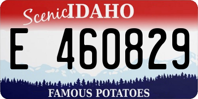 ID license plate E460829