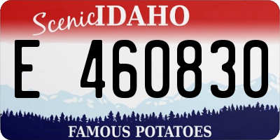 ID license plate E460830