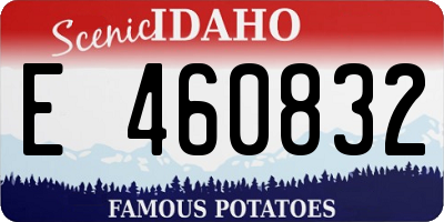 ID license plate E460832