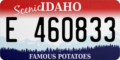 ID license plate E460833