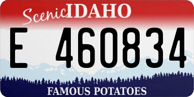 ID license plate E460834