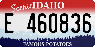 ID license plate E460836