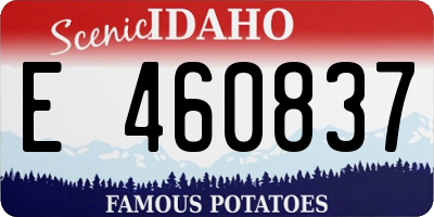 ID license plate E460837
