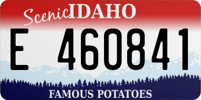 ID license plate E460841