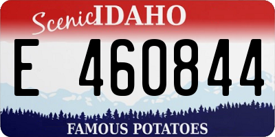 ID license plate E460844