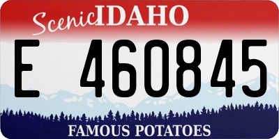 ID license plate E460845