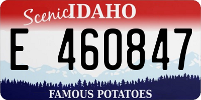 ID license plate E460847