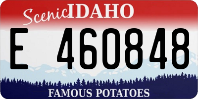 ID license plate E460848