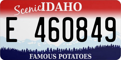 ID license plate E460849