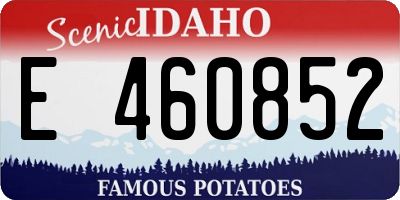 ID license plate E460852