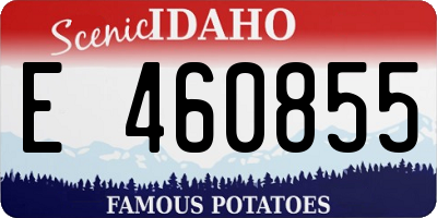 ID license plate E460855