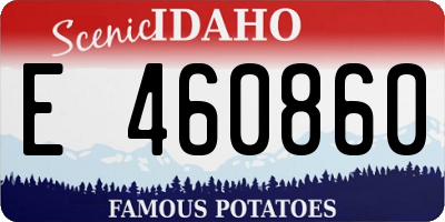 ID license plate E460860