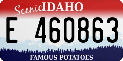 ID license plate E460863