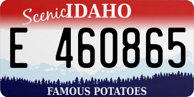 ID license plate E460865