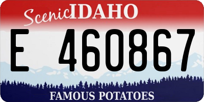ID license plate E460867