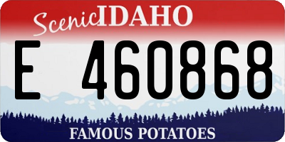 ID license plate E460868