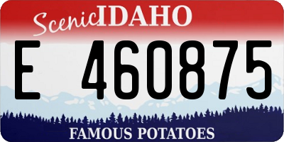 ID license plate E460875