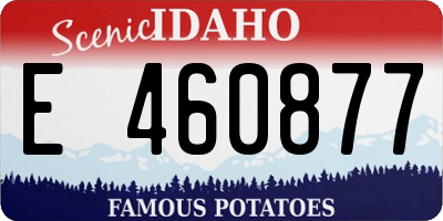 ID license plate E460877