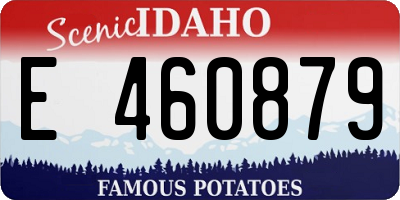 ID license plate E460879