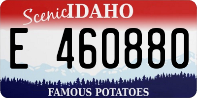 ID license plate E460880