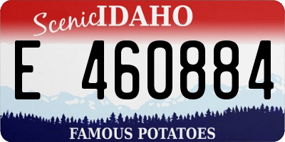 ID license plate E460884