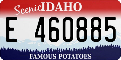 ID license plate E460885