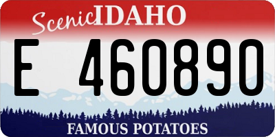 ID license plate E460890