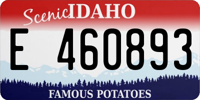 ID license plate E460893