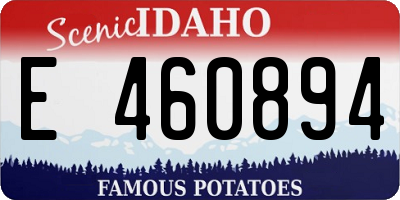 ID license plate E460894