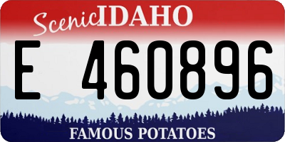 ID license plate E460896