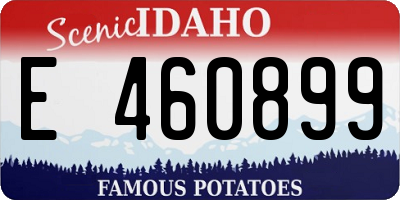 ID license plate E460899